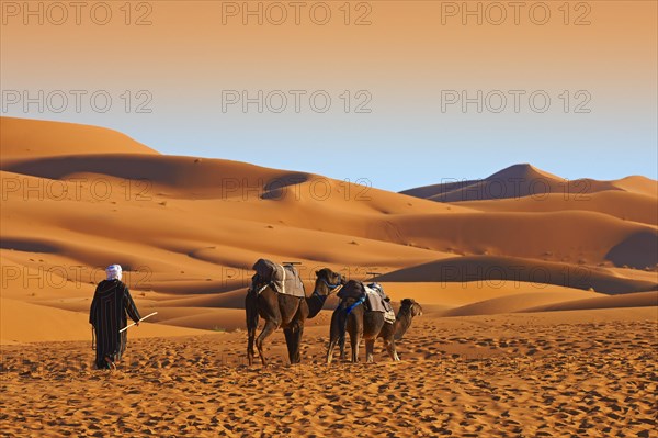 Merzouga