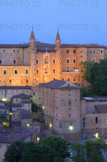 Urbino