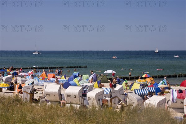 Beach chairs