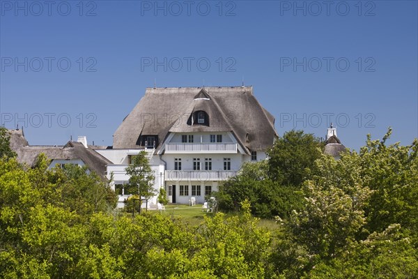 Thatch-roofed cottage