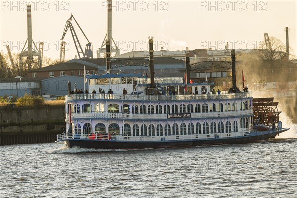 Paddle steamer Lousiana European Starling