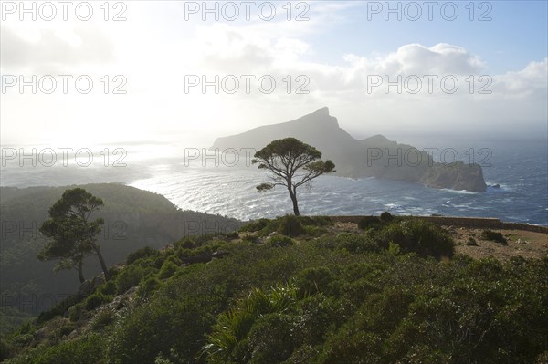 View of Sa Dragonera island