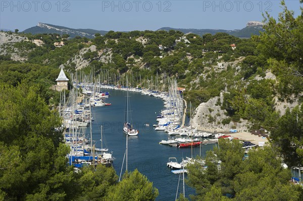 Marina in Calanque de port miou