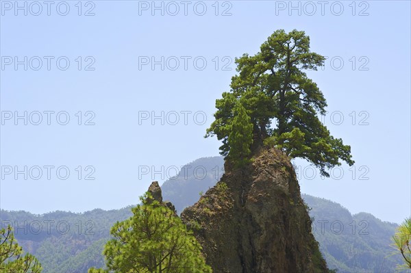 Parque Nacional de la Caldera de Taburiente