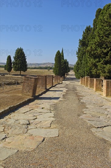 Italica