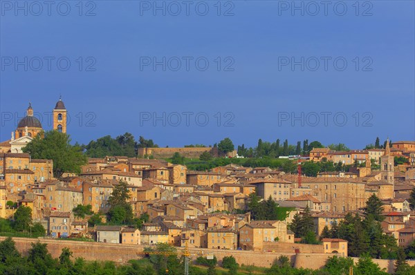 Urbino