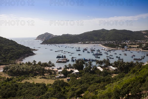 Fishing boats