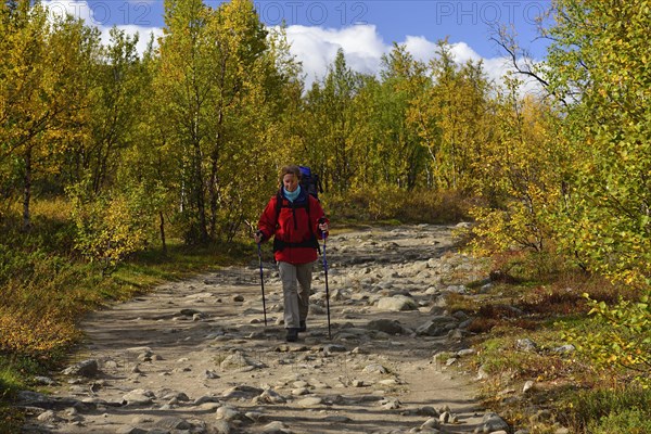 Trekking Nikkaluokta