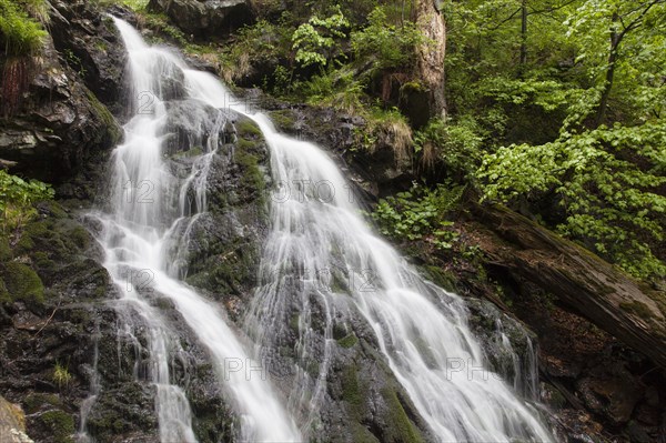 Mountain stream Hoellbach