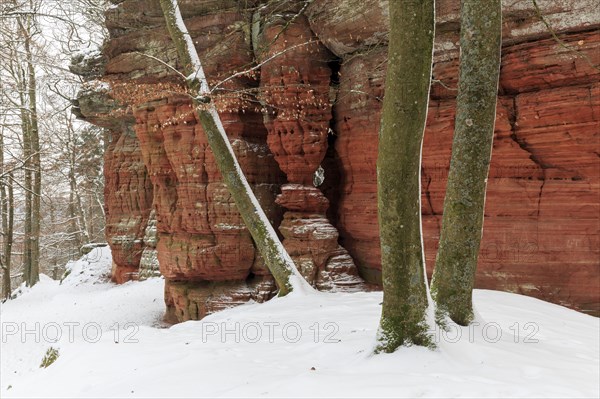 Natural Monument