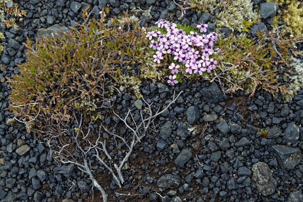 South Iceland