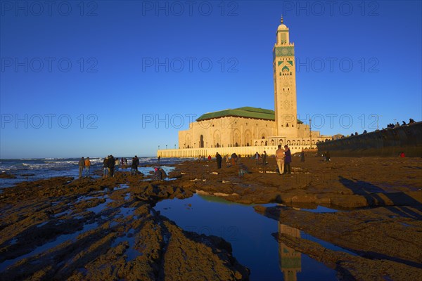 Casablanca