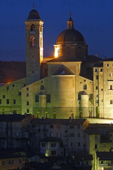 Urbino