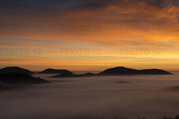 Palatinate Forest