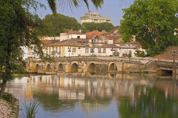 Velha Renaissance Bridge over the Nabao River