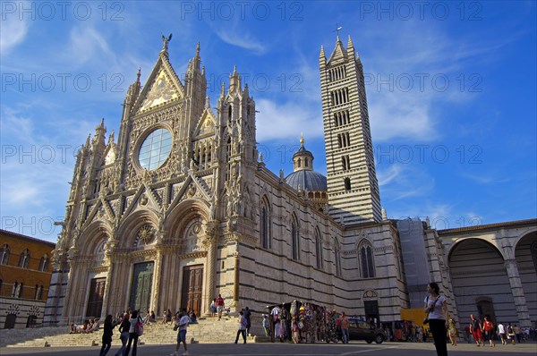 Siena