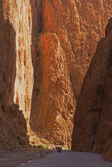 Todra Gorge