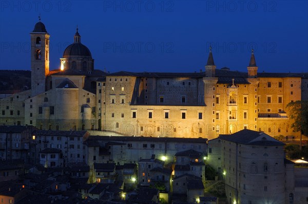 Urbino