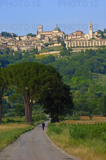 Assisi