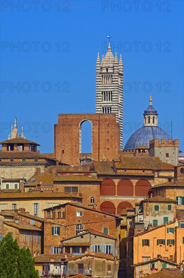 Siena