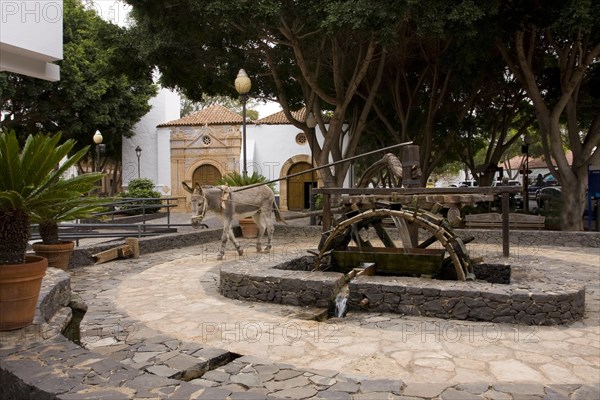 Donkey driving watermill