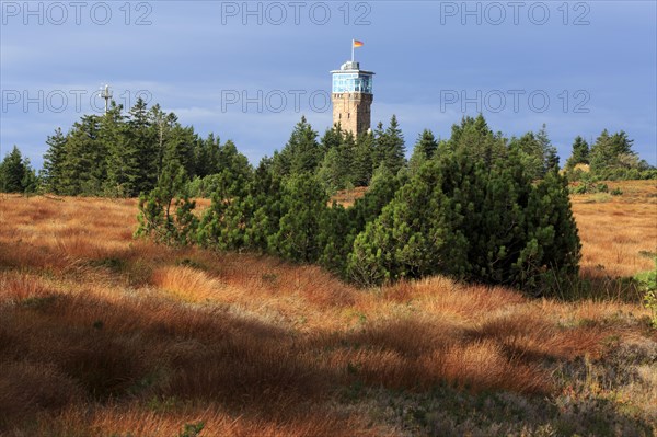 Black Forest National Park