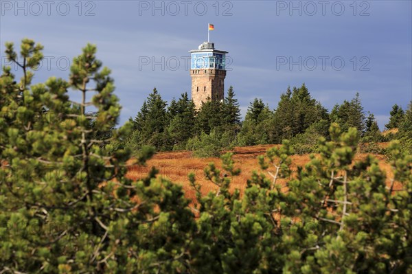 Black Forest National Park