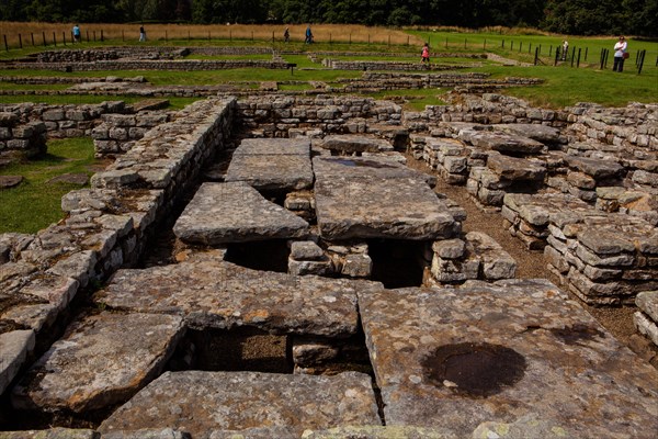 Chester Fort