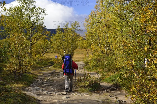 Trekking Nikkaluokta