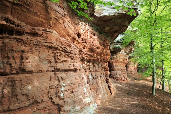 Old Castle Rock Natural Monument