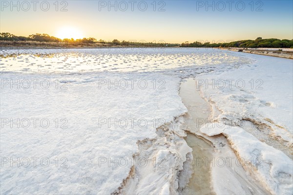 Salt production