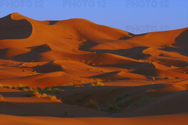 Merzouga