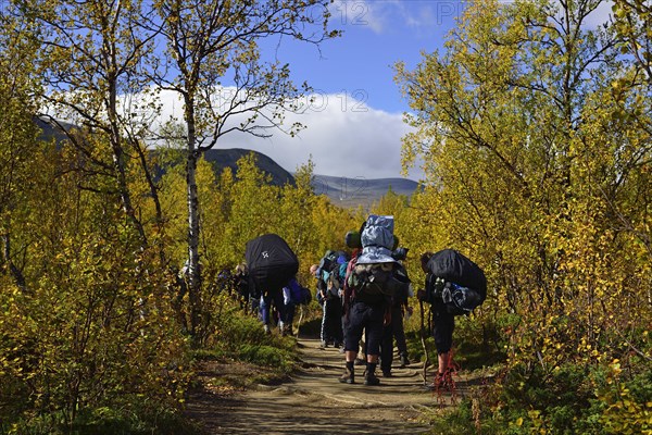 Trekking Nikkaluokta