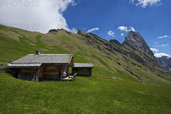 Alpine pasture on the Seceda with Geislerspitzen