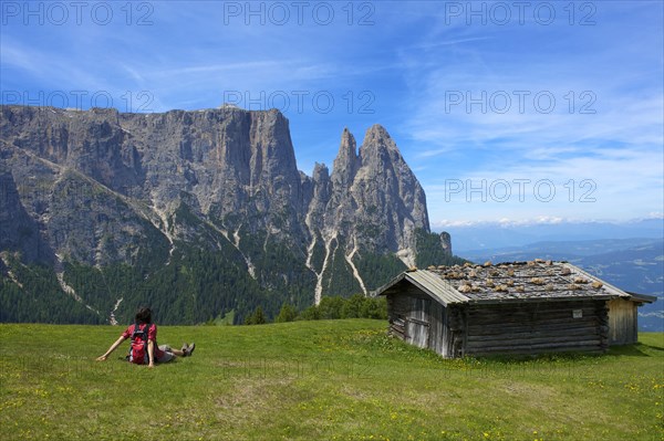 Alpine pasture on the Alpe di Siusi with Sciliar