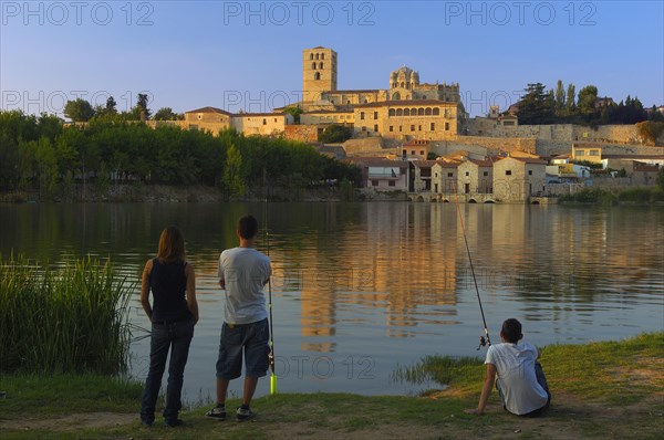 Zamora