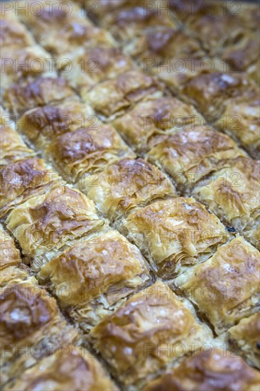 Baklava macro view