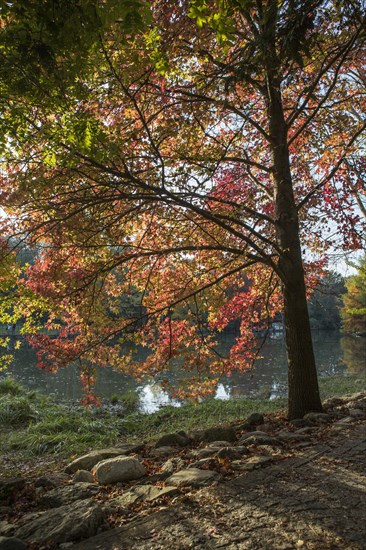 Atatuerk Arboretum