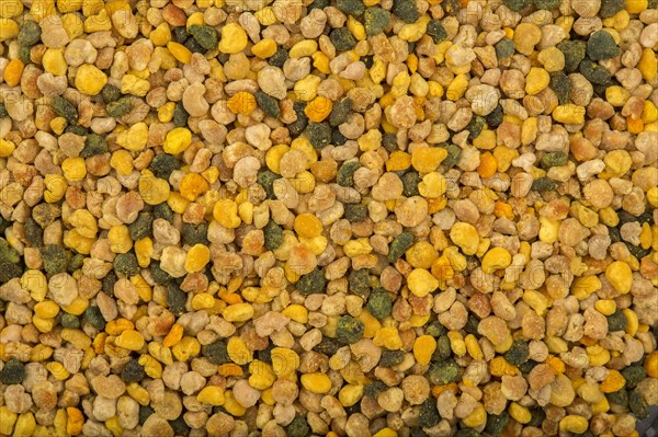 Fresh bee pollen