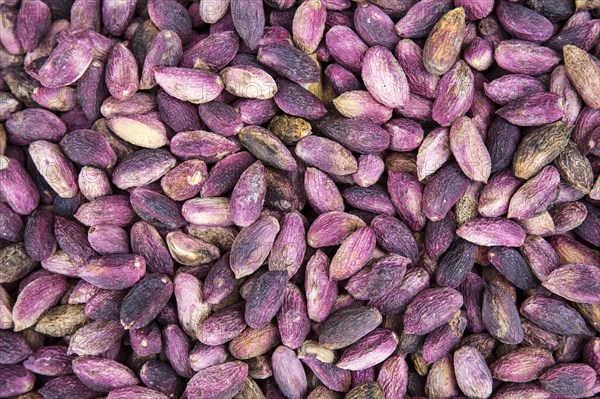 Antep Pistachio