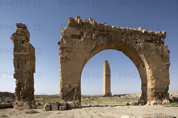 Ruins of Harran University in Harran Tumulus