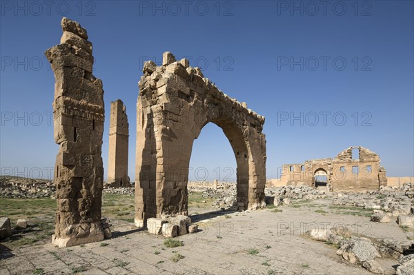 Ruins of Harran University in Harran Tumulus