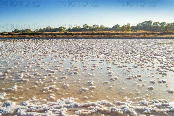 Salt production