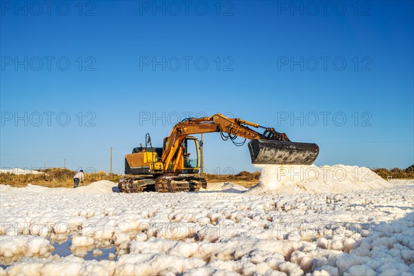 Excavator harvesting sea salt