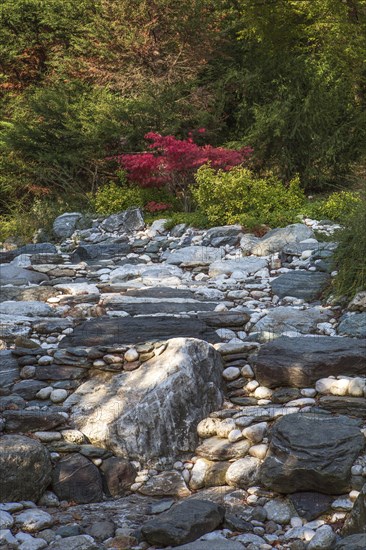 Atatuerk Arboretum