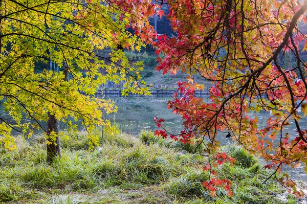 Atatuerk Arboretum