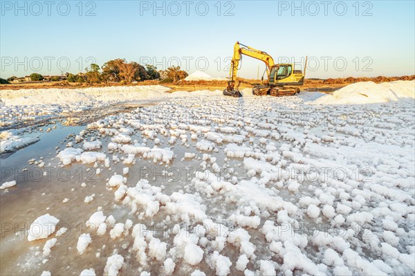 Excavator harvesting sea salt