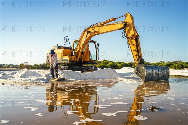 Excavator harvesting sea salt