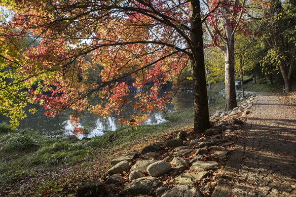 Atatuerk Arboretum