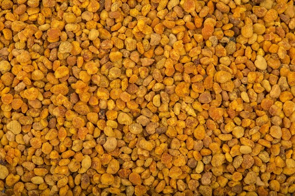 Fresh bee pollen